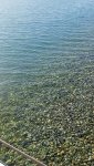 IMG20260509162451.jpg