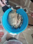 IMG20260419172044.jpg