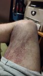 IMG_20260923_194855_275.jpg