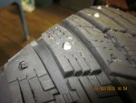 IMG_5331.JPG