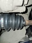 IMG20241120110742.jpg
