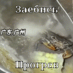 1000069394.gif