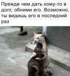 1750095183_1.jpg